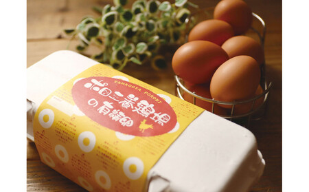 【6カ月定期便】有精卵 計30個（10個×3パック）【 たまご ポロニ養鶏場 デザート ケーキ お菓子 標茶町 北海道 】