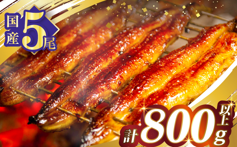 うなぎ蒲焼5尾(さんしょう・たれ付き)計800g以上 鰻 魚 魚介 加工品 国産_T026-003