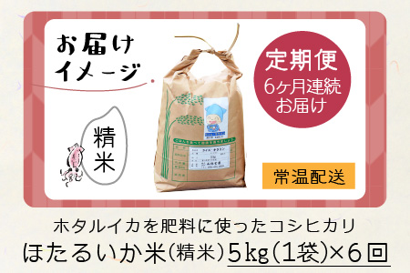 ほたるいか米　コシヒカリ 精米５kg ×6回 計30kg 6ヶ月定期便 米定期便 [E-021007]