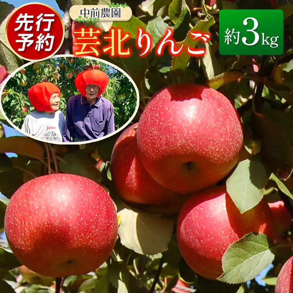 ≪10月中旬以降発送≫りんご 国産 3kg 農家直送 中前農園 芸北りんご 林檎 シナノスイート ぐんま名月 ジョナゴールド ふじ_NA099_001