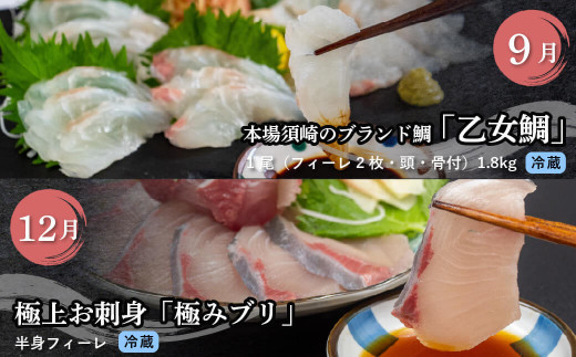 刺身 定期便 4ヶ月 小島水産 がお届けする！ 美味しい お刺身 （ 鮮魚 下処理済 ） 産地直送 4回（ カンパチ カツオ 鯛 ブリ ）  新鮮 定期 刺身 魚貝 かんぱち 勘八 鰹 かつお カツオ