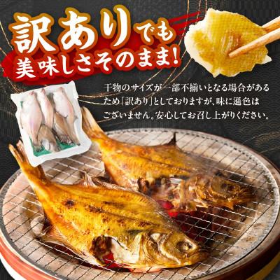 ふるさと納税 京丹後市 【入金確認後、最短5日以降に出荷】丹後の地元鮮魚店が作った店主お任せ干物詰め合わせセット3種/訳あり |  | 01