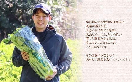 【先行予約】オルフェメロン 4玉 メロン すず農園