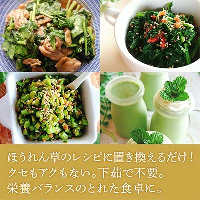 ふるさと納税 磐田市 【毎月定期便】TV紹介で大好評 ソフトケール 100g×5袋 健康 腸活応援 スムージー 全3回 |  | 02