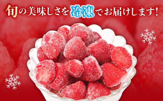 凍っても濃厚！冷凍 いちご 博多あまおう 1kg【やまや】 通常配送