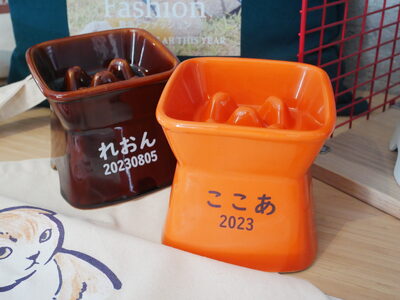 【美濃焼】 名入れ / 色が選べる 陶器製ペット用フードボウル 名入れ 早食い防止 name&number 高台傾斜 pet169 瑞浪市 / ながしまプランニングオフィス エサ入れ 餌皿 犬 猫 [AZBM192]