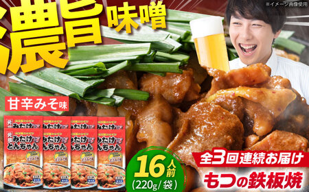 【3回定期便】「元祖みたけとんちゃん」甘辛みそ味 8袋（16人前）[AVAA073]ホルモンモツ
