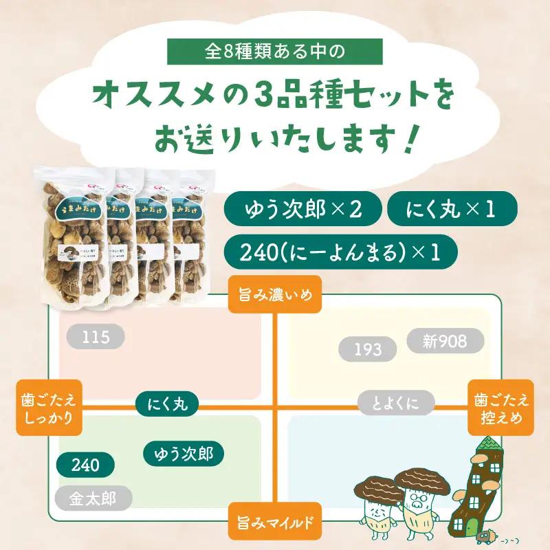 大分産乾しいたけ（うまみだけ） 40グラム×3種 F07036