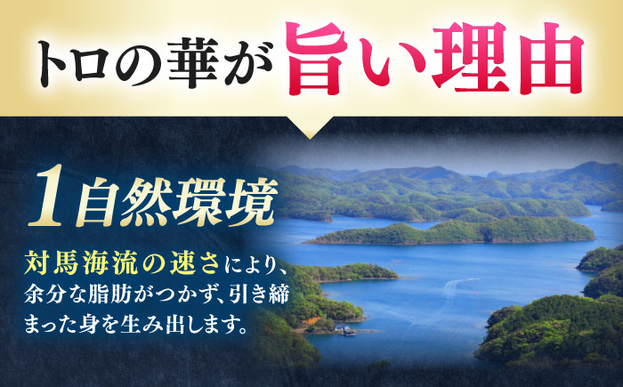 【全3回定期便】対馬産 本マグロ 赤身100g ≪対馬市≫【桐谷商店】 トロの華 対馬 新鮮 マグロ 赤身 鮪 刺身 [WAQ108]