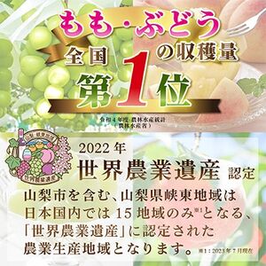 【発送月固定定期便】【2024年先行受付】山梨県産 人気果物2種 桃・種無し巨峰 定期便 全2回【配送不可地域：離島】【4005777】