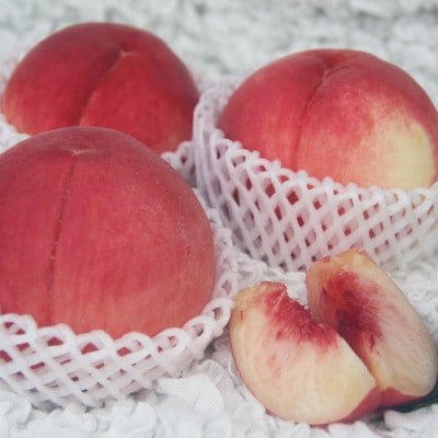 2026年発送 山梨市産 訳あり桃 約2kg(4〜8玉)【配送不可地域：離島】【1688049】