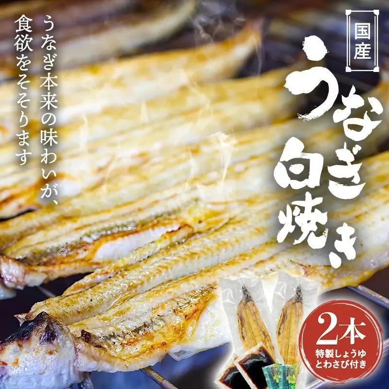 国産うなぎ白焼（２本） /  和歌山 田辺市 国産 国産うなぎ 国産鰻 うなぎ 鰻 鰻丼 うな丼 土用の丑の日 【ots019】