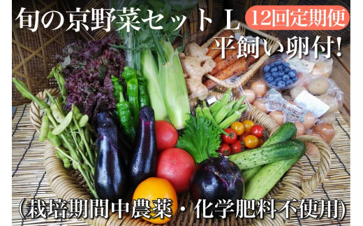 
【12回定期便】＜アスカ有機農園＞旬の京野菜セットL（平飼い卵付）＊毎月お届け全12回
《野菜定期便 野菜詰め合わせ 野菜セット 京野菜 旬の野菜 新鮮野菜 有機野菜 無農薬野菜 卵》
