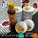 【ふるさと納税】 ツナ缶 缶詰 万能調味料 セット ツナ 常温 保存 調味料 ガーリック おつまみ サラダ 焼津 ガーリック ツナ 12缶 煎り酒 1本 a10-801