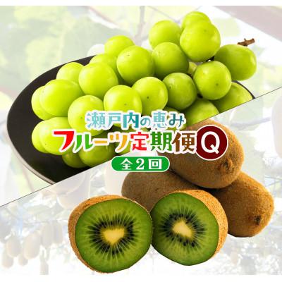 ふるさと納税 高松市 【発送月固定定期便】高松市自慢のフルーツ【Q】全2回