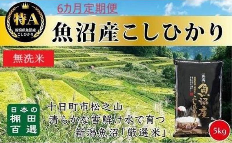 【令和7年産新米予約】 【食味鑑定士厳選】無洗米 6カ月 定期便 日本棚田百選のお米 天空の里 魚沼産 こしひかり 5kg×6回 米 お米 コメ