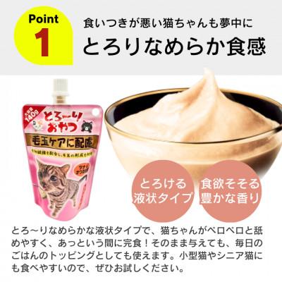 ふるさと納税 久留米市 とろーりおやつ 毛玉ケアに配慮 ツナ&かつお節味 140g×48個セット(久留米市) |  | 01