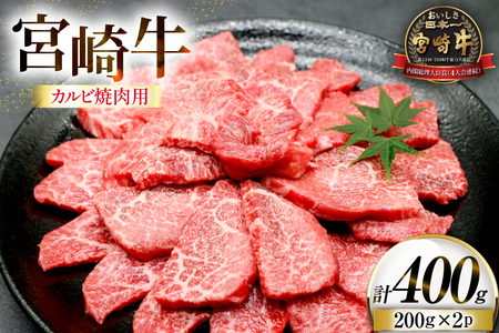 牛肉 宮崎牛 カルビ 焼肉用 200g 2p 計 400g [ローカルブランディング 宮崎県 日向市 452061524] 冷凍 小分け 黒毛和牛 黒毛 A4 A5 焼肉 焼き肉 BBQ バーベキュー 国産