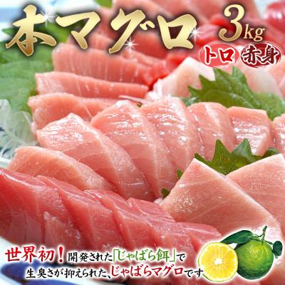 ふるさと納税 北山村 【串本町×北山村】本マグロ(養殖)トロ&amp;赤身セット 3kg【nks112】