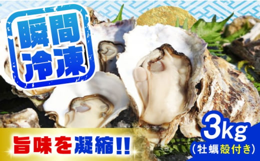 特選 牡蠣三昧！【瞬間冷凍】広島牡蠣　殻付き３kg カキ かき 広島 料理 簡単 魚介類 海鮮 ギフト 広島県産 江田島市/株式会社門林水産 [XAO030]