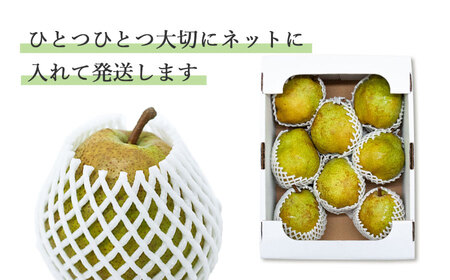 【令和6年産】ラ・フランス 5Lサイズ以上 約4kg　山形県鶴岡市産 （2024年11月中旬頃～発送） 洋梨 長南農園