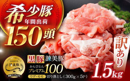 【訳あり】＜特Aのブランド米で育てた＞黒豚諫美豚プレミアム100 切り落とし(ウデ・モモ) 1.5kg(300g×5P) / 訳あり 訳あり商品 黒豚 豚肉 小分け 肉 豚 ウデ肉 ウデ モモ もも肉 / 諫早市 / 株式会社土井農場[AHAD117]