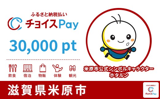 
                  米原市チョイスPay 30,000pt【会員限定のお礼の品】
                