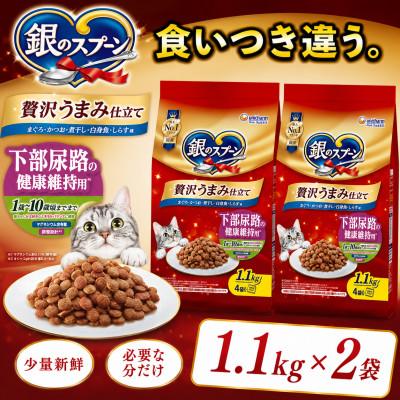 ふるさと納税 上里町 銀のスプーン 贅沢うまみ仕立て 下部尿路の健康維持用 1歳〜10歳頃まで 1.1kg×2袋