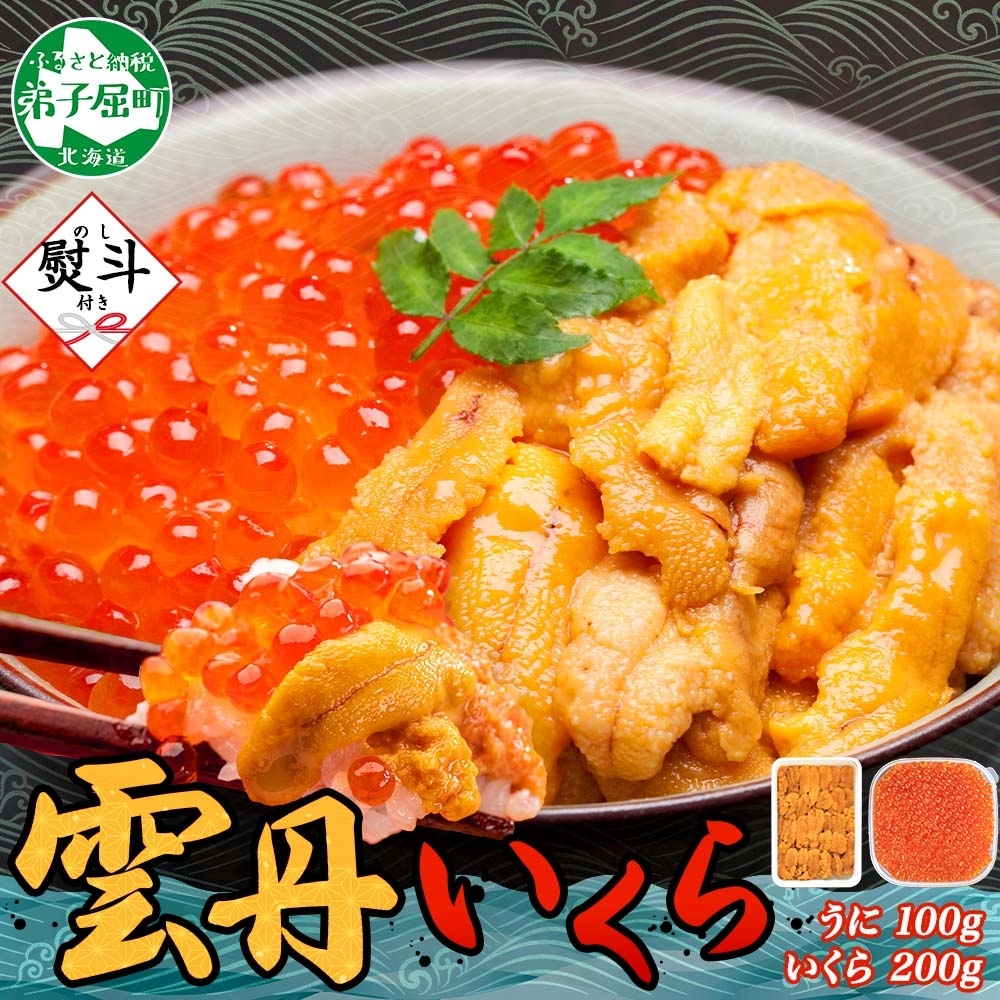 3403.  無地熨斗 うに 100g いくら醤油漬け 200g ウニ チリ産 冷凍 いくら 二色丼 雲丹 イクラ 海鮮 海鮮丼 うに丼 いくら丼 いくら醤油漬け のし 名入れ不可 送料無料 17000円 北海道 弟子屈町