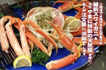 【11月発送】【先行予約】【訳あり】茹で越前がに（大）1杯 地酒付き やまに仕込み【11月発送分】 [G-4302_11]