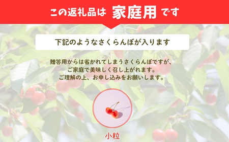 No.2635【ご家庭用】さくらんぼ 品種お任せ 小粒　約600ｇ【2026年発送　先行受付】