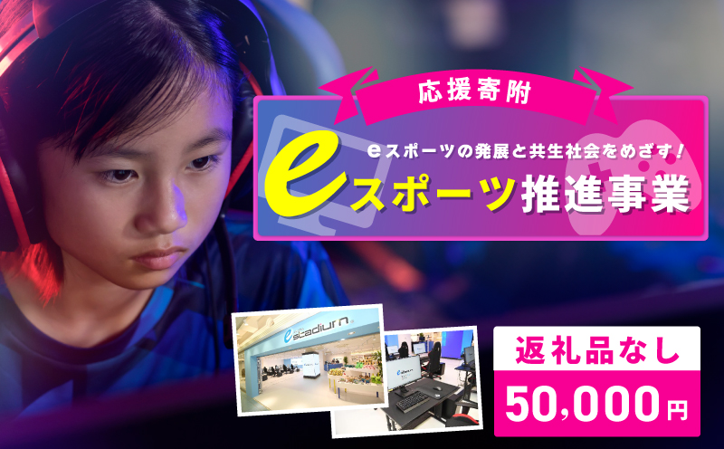 【返礼品なし】eスポーツの発展と共生社会の実現をめざす！eスポーツ推進応援寄附（大阪府泉佐野市）　【大阪 泉佐野 大阪府 泉佐野市】
