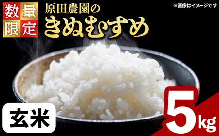 ＜令和7年産・数量限定＞原田農園の「きぬむすめ」(玄米・5kg) 鳥取県 白米 米 コメ こめ お米 おこめ ごはん ご飯 5キロ 10キロ 【sm-EF002-B05】【やまのおかげ屋】