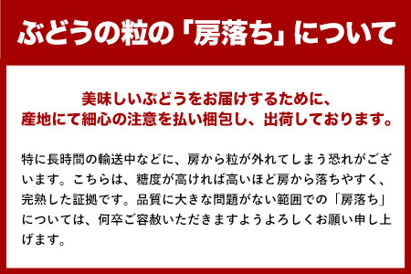 先行予約 旬のぶどう詰め合わせセット 1箱 約2kg 3～4房 水車の里フルーツトピア 期間限定 岡山県 矢掛町 葡萄 果物 スイーツ フルーツ デザート《9月上旬-9月末頃出荷》