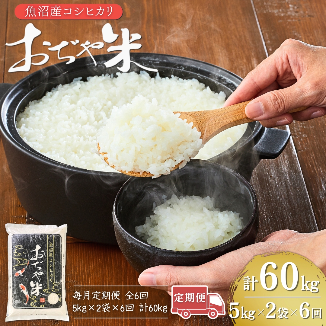 【6か月定期便(毎月発送)】 令和7年産新米 魚沼産コシヒカリ 精米10kg(5kg×2袋)×全6回 ※2025年10月上旬から発送予定 JA魚沼 【0002-JA08DB00-03】