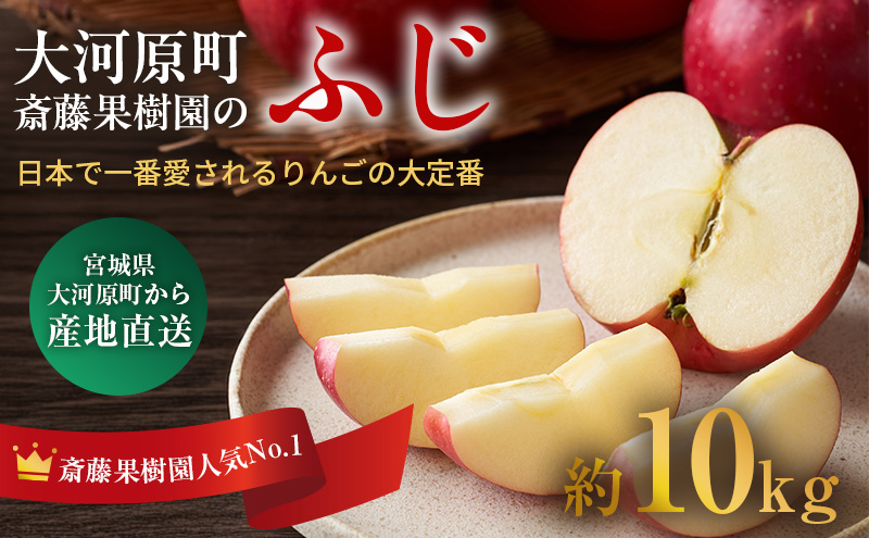 人気No.1 りんご ふじ 10kg 果物 フルーツ 先行予約 単品 定番 宮城県 大河原町 リンゴ 林檎 くだもの 大容量 送料無料