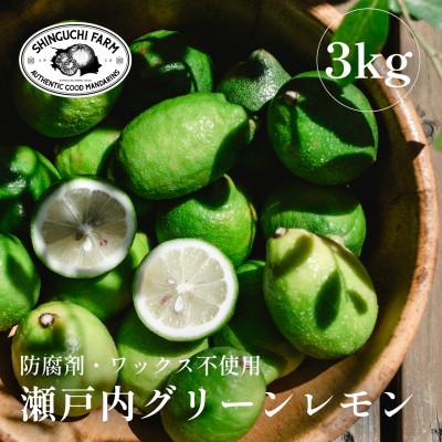 ふるさと納税 八幡浜市 【皮ごと食べられる】瀬戸内グリーンレモン 3kg 防腐剤・ワックス不使用【C70-47】