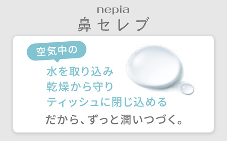 ネピア鼻セレブティシュ3箱×10パック
