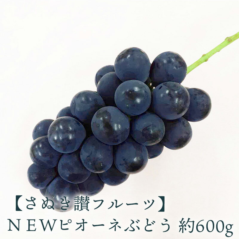 【ふるさと納税】 NEWピオーネ 約600g さぬき讃フルーツ認定 先行予約 [ 大粒 種なし 皮ごと食べられる 高級ぶどう 葡萄 果物 フルーツ 人気 ギフト 贈答用 家庭用 お取り寄せ グルメ 産地直送 新鮮 甘い ジューシー 香川県 三豊市 返礼品 造田商店 ]