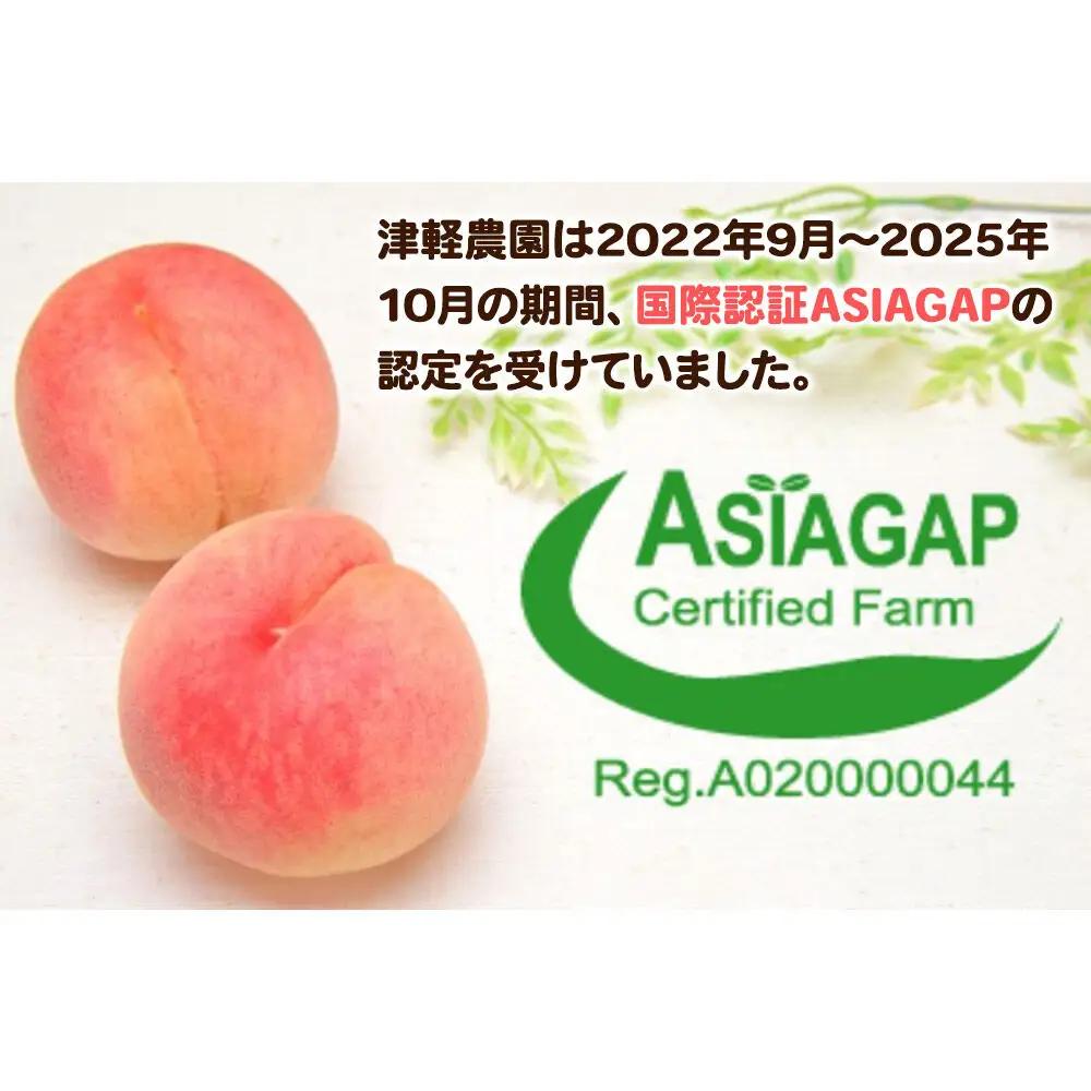 【26年9月発送】桃 約5kg(14～22玉程度) 青森【2026年産 レア品種 さくら白桃】もも 家庭用 くだもの フルーツ 果物 津軽農園 採れたて 農家直送