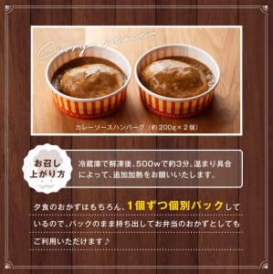 惣菜 まちの洋食屋さんのハンバーグ「ジュ―！のハンバーグ」５種×２個セット 惣菜