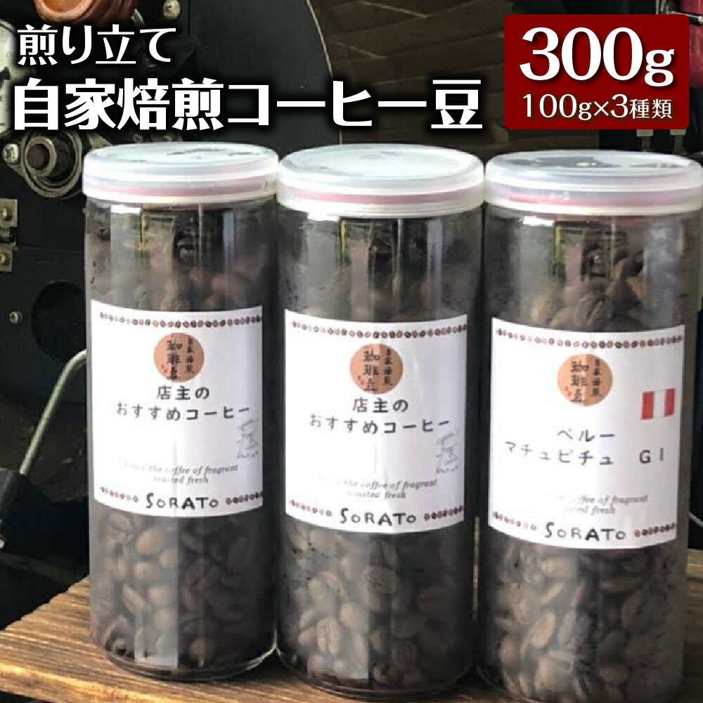 【ふるさと納税】煎り立て自家焙煎コーヒー豆（100g×3種類）マチュピチュ ペルー産ホンジュラス グアテマラ コスタリカ 珈琲 詰め合わせ セット 送料無料 [F4477]