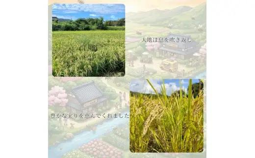 C138 ミツバチと地球の未来を守るお米【88HACHIMAI】玄米5㎏