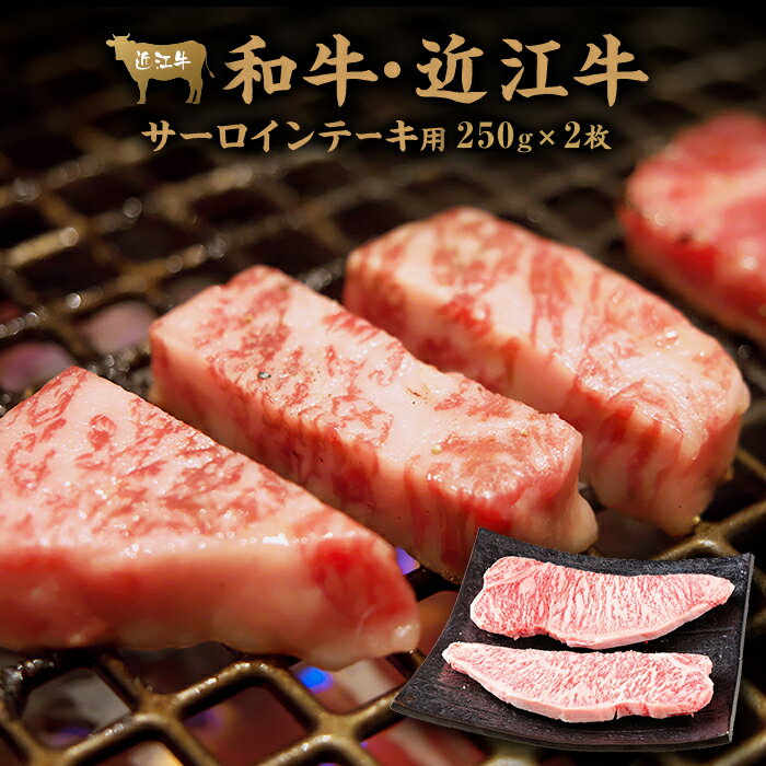 【ふるさと納税】肉 牛肉 近江牛 サーロイン ステーキ 500g ( 250g × 2枚 ) | お肉 滋賀 高級 ブランド 黒毛和牛 ギフト 美味しい 冷凍 人気 おすすめ 国産