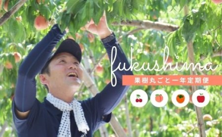 No.2223桜田/佐藤果樹園　果樹まるごと一年おまかせセット【2025年発送】