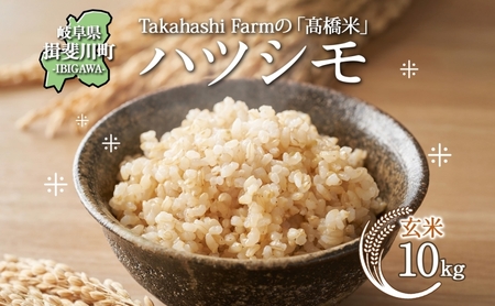 ＜ R8年産 先行予約 ＞米 ハツシモ 「高橋米」 玄米 10kg×1袋 令和8年産 10キロ お米 精米 玄米 ごはん ご飯 はつしも ブランド米 大粒 白米 炊飯 お弁当 ふっくら お取り寄せ 送料無料 Takahashi Farm 岐阜県 揖斐川町