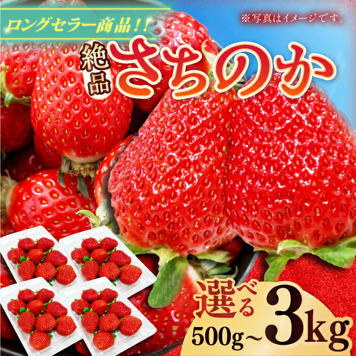 【ふるさと納税】【選べる内容量】【2026年発送 先行予約】さちのか 500g-3kg（1パック250g） / 苺 イチゴ いちご フルーツ 果物 / 佐賀県 / リフルット株式会社 [41ABAA007]