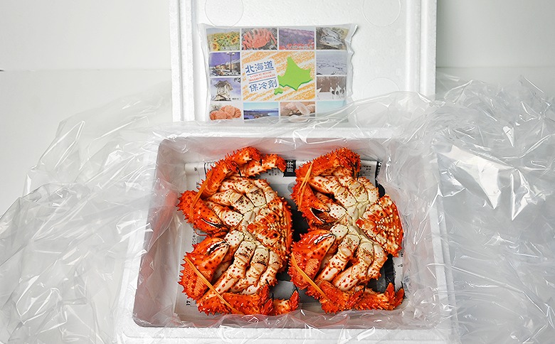 【北海道根室産】花咲がに500g前後×2尾セット B-80004