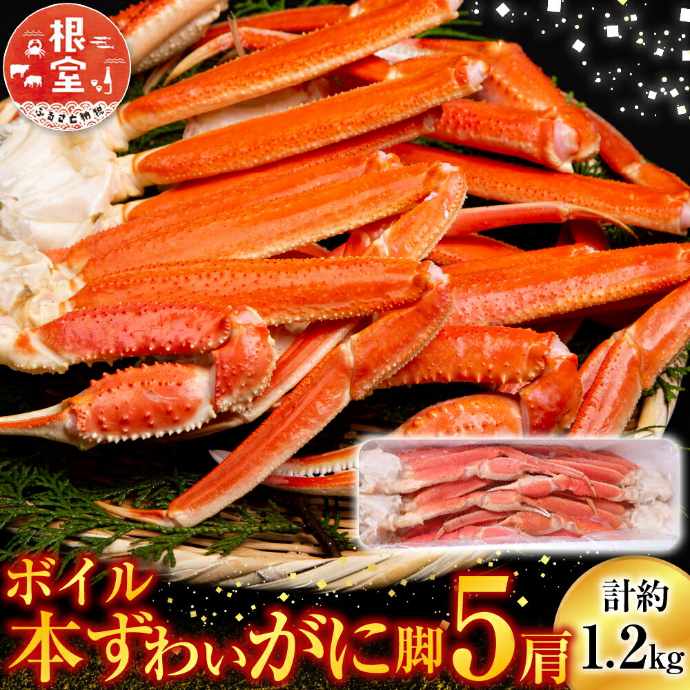 【ふるさと納税】 根室海鮮市場 ＜直送＞ ボイル本ずわいがに脚 5 肩 ( 計約 1.2kg ) ズワイガニ ズワイ ずわい ズワイ蟹 ずわい蟹 かに カニ 蟹 お取り寄せ グルメ 海鮮 茹で蟹 茹でがに 茹でガニ 北海道 根室市 ふるさと納税 A-28248