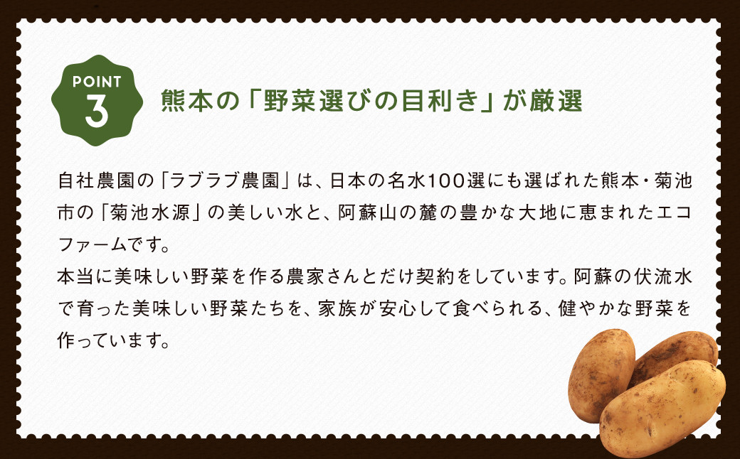 【2022年9月上旬発送開始・3回定期便】阿蘇の伏流水をたっぷり含んだお野菜詰め合わせ 8品～10品